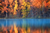 Autumn leaves and lake